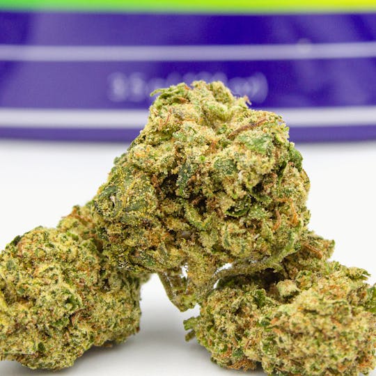 Herbology - Chocolatina Flower 1/8th - 1