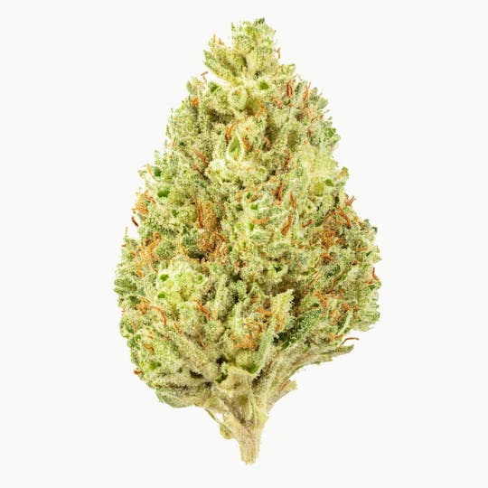 Flow Kana - Bell Springs by Moonraker Farms | Gold - 1
