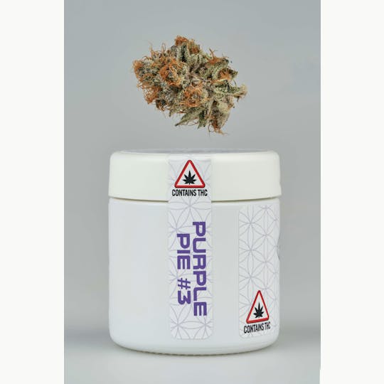 Ripple Wellness - Purple Pie #3 - 1