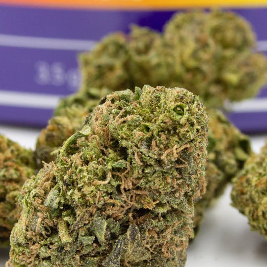 Herbology - White Runtz 1/8th Flower - 1