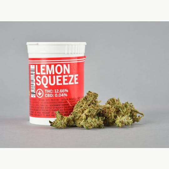 STiCKS - Sticks - Lemon Squeeze, 3.5g - 1