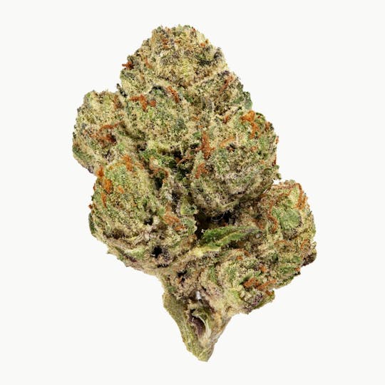 Flow Kana - Biscotti by Sticky Farms | Silver - 1