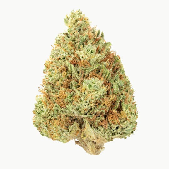Flow Kana - Berry Pie by Woodman Peak Farms | Gold - 1