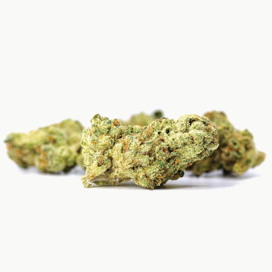 Claybourne Co. - Motor Breath (28g) - Small Buds - 1