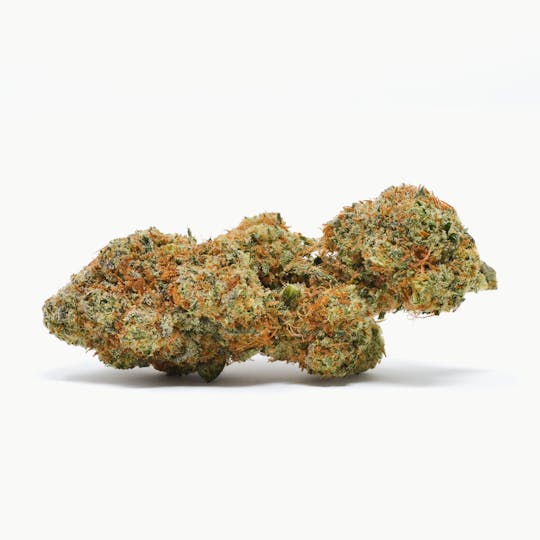 Pure Beauty - Harlequin x GDP | 3.5g Indoor - 1