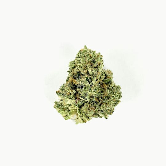 Indico - Gorilla Glue #4 - 1