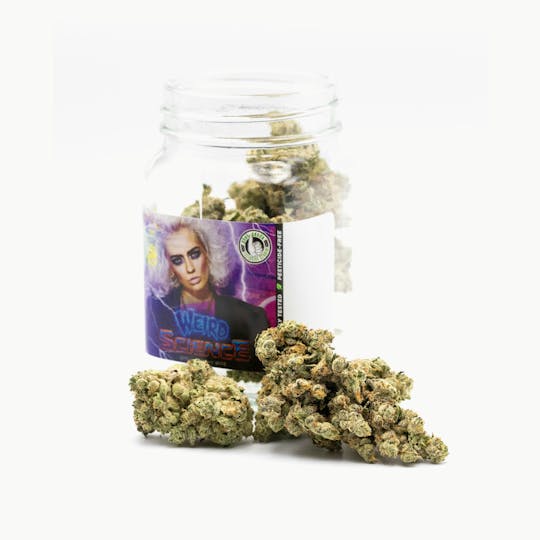 Phat Panda - Weird Science - WA - 1