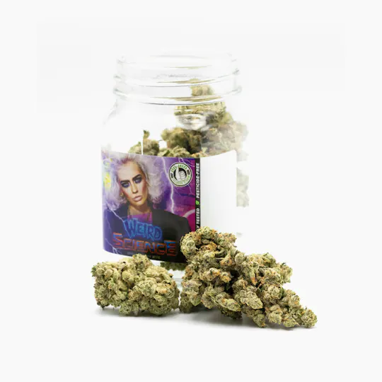 Phat Panda - Phat Panda | Weird Science | Big Buds - 1