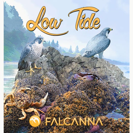 Falcanna - Low Tide - 1