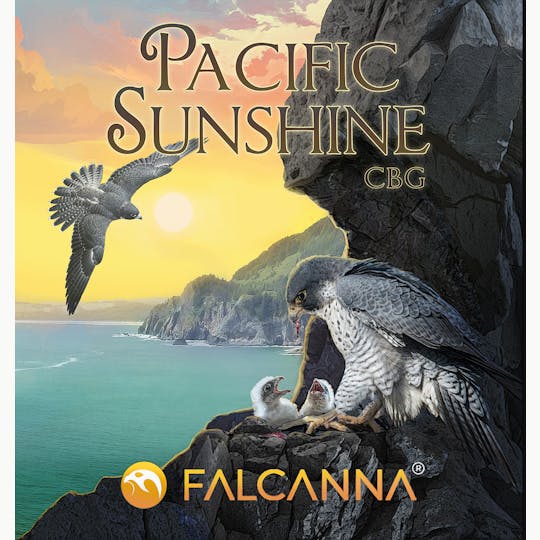 Falcanna - Pacific Sunshine CBG - 1