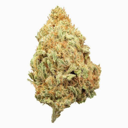 Flow Kana - Rum Cake Elysian Fields | Gold - 1