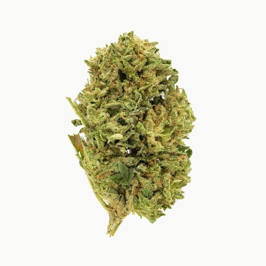 Flow Kana - Valley Girl by SEED707 | Gold - 1