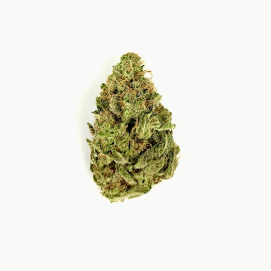 Indico - Banana Sundae - 1