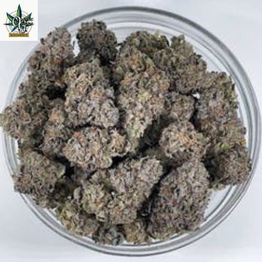Organic Goods - Humble Pie Wizard - 1