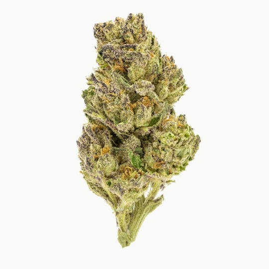 Flow Kana - Pluto Infused PreRoll - 1