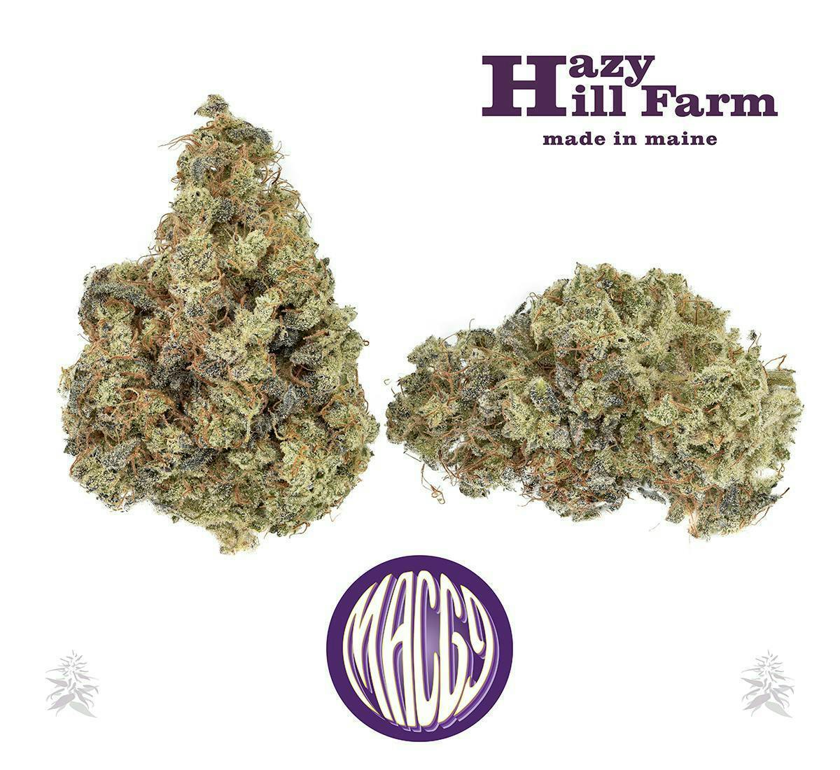 Hazy Hill Farm - MAC 69 - 1
