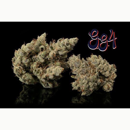 Hazy Hill Farm - GG4 - 1