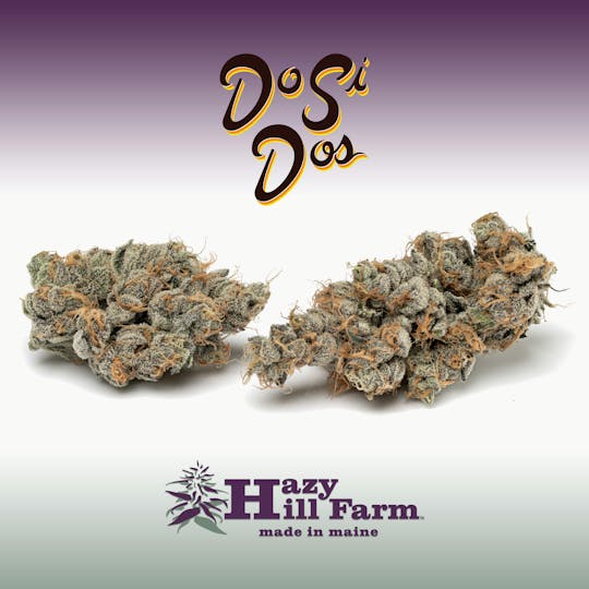 Hazy Hill Farm - DoSiDos - 1