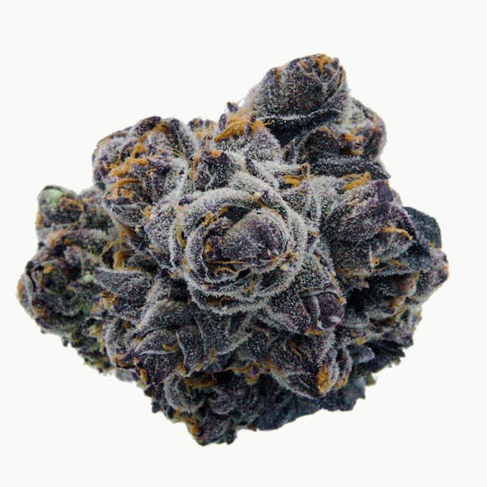 Curated Cannabis - Apple Fritter - Eighth Ounce - Live Cured Flower - 1