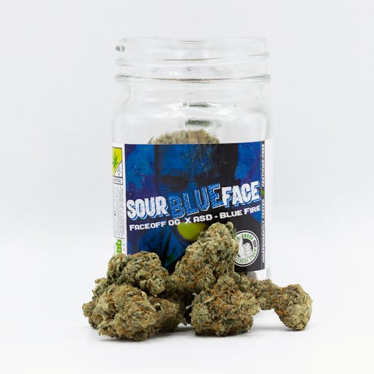 Phat Panda - Sour Blue Face - WA - 1