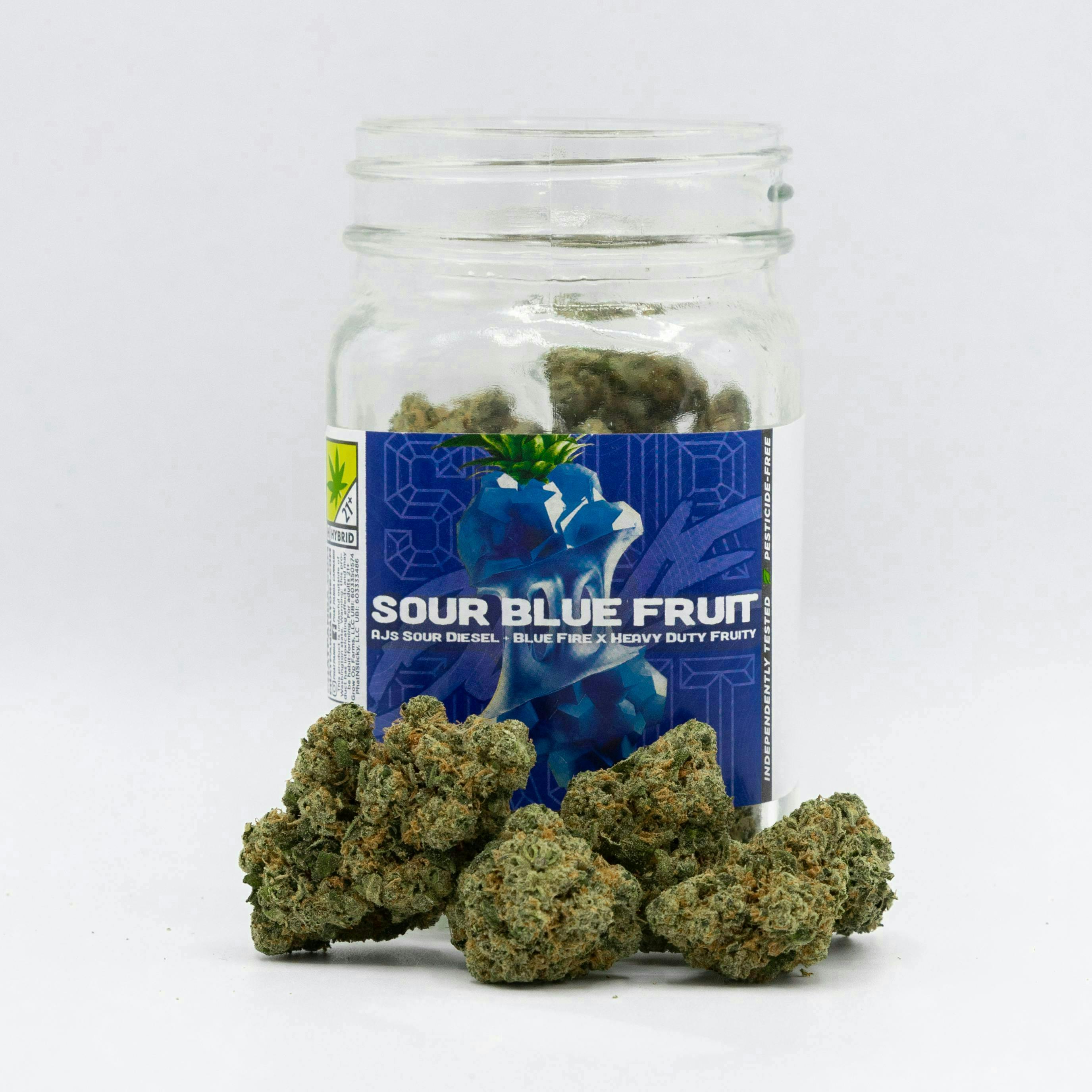 Phat Panda - Phat Panda | Sour Blue Fruit | Big Buds - 1