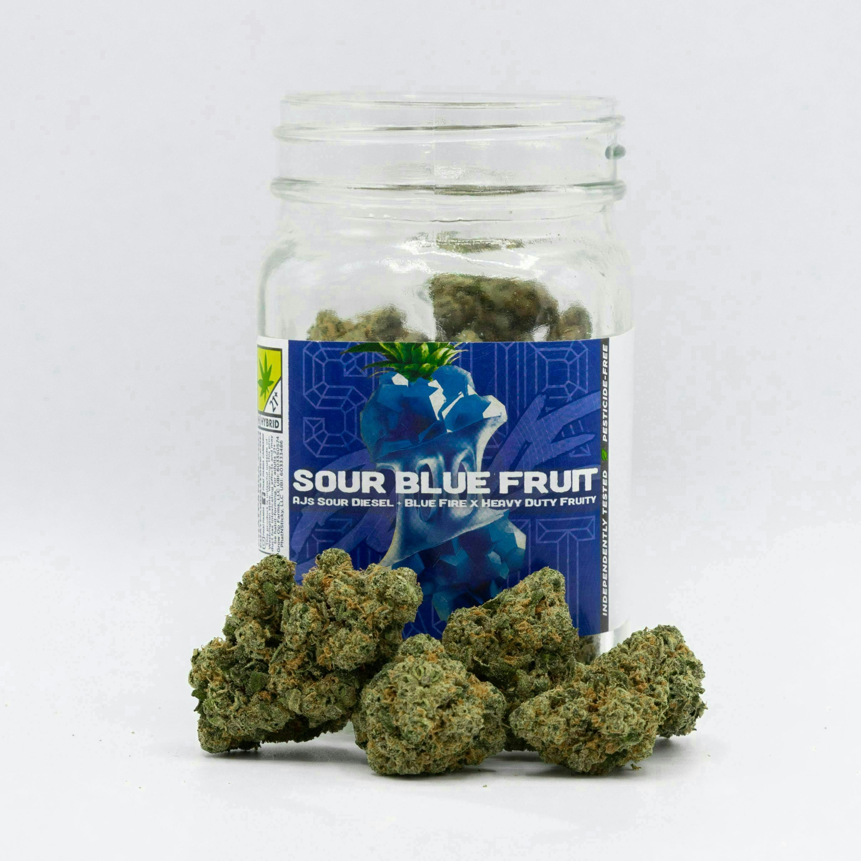 Phat Panda - Sour Blue Fruit | Big Buds - 1