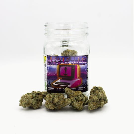 Phat Panda - Apple Mac - WA - 1