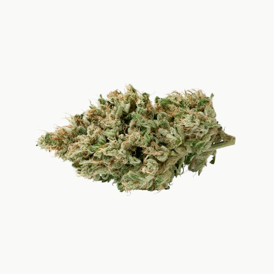 Kind Tree - Big Detroit Energy - 1