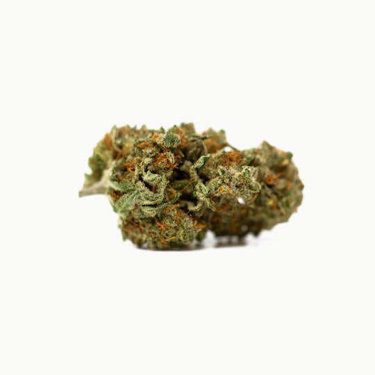 Kind Tree - Ethos Cookies - 1