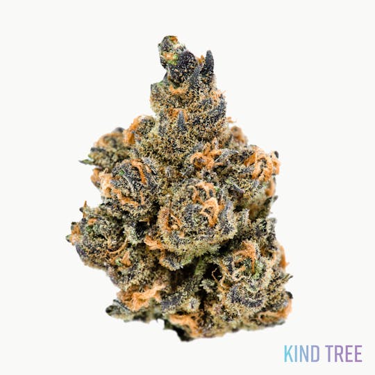 Kind Tree - Orange Kush Cake - 1