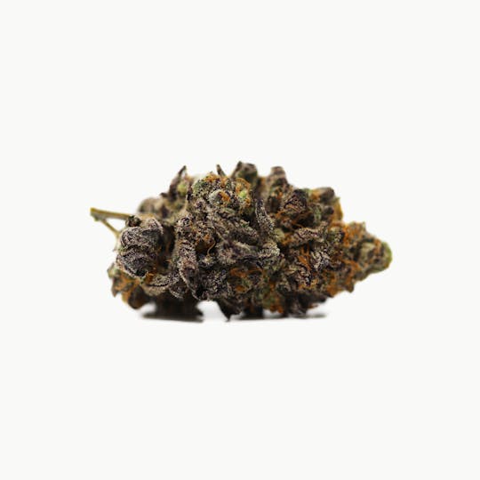 Kind Tree - Papaya - 1
