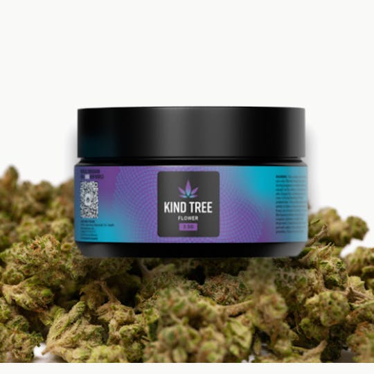 Kind Tree - Big Detroit Energy (Littles) - 1