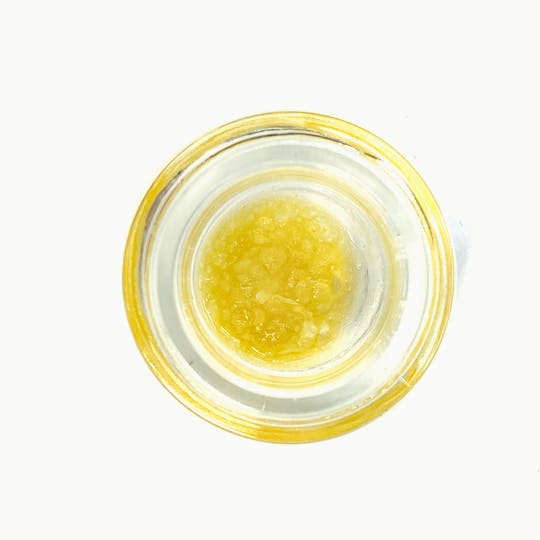 Alien Labs - Animal Cookies X Biscotti - Live Resin Sauce - 1 Gram - 1