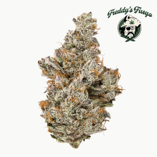 Freddy's Fuego - Ice Cream Mintz - Legacy - 1