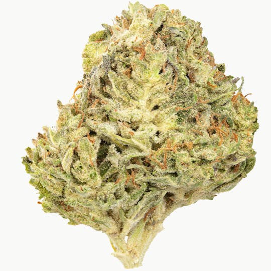 Flow Kana - Emerald Cream grown by SEED707 - 1