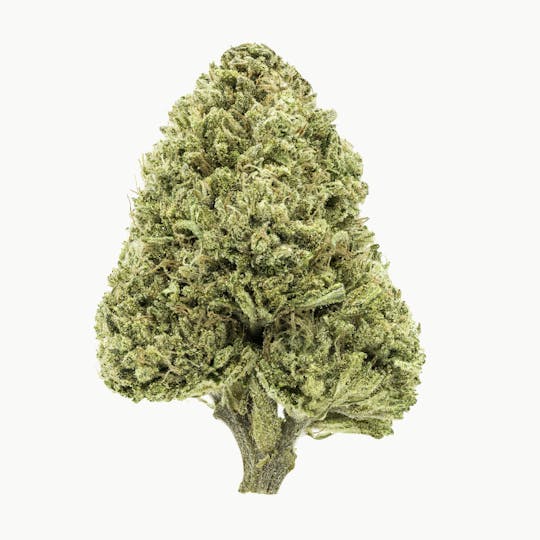 Flow Kana - Jah Goo grown by South Slope Farms - 1
