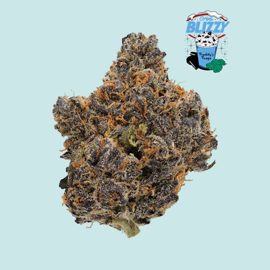Freddy's Fuego - Oreo Blizzy - Legacy - 1