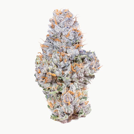 Connected Cannabis Co. - Gelato 41 - Indoor - 1