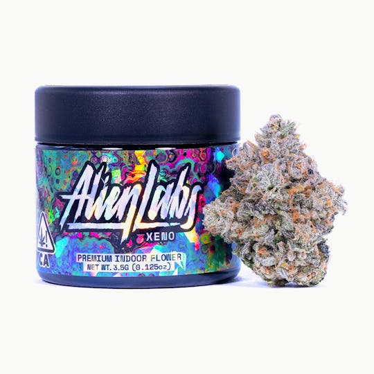 Alien Labs - Xeno - Indoor - 1