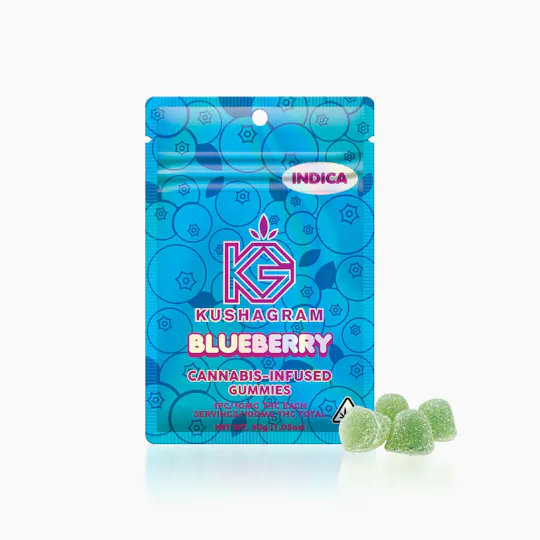 KUSHAGRAM - Blueberry Gummies - 100mg - 1