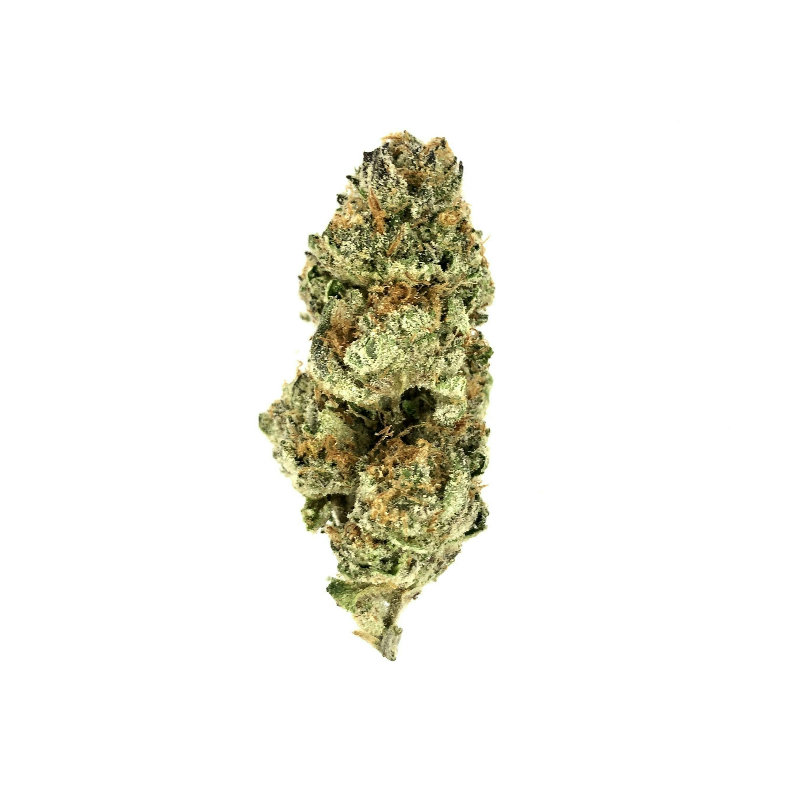 Indico - Dosi- Punch - 1