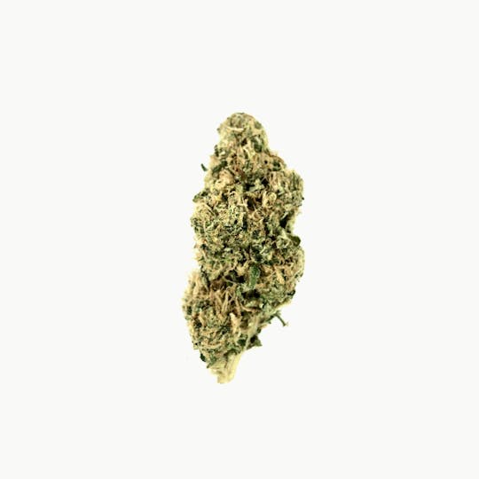 Indico - White Widow Headbanger - 1
