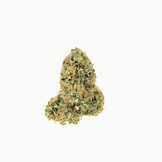 Indico - Pineapple Mimosa - 1