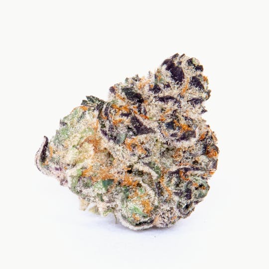 Pure Beauty - Night Light | 3.5g Indoor - 1