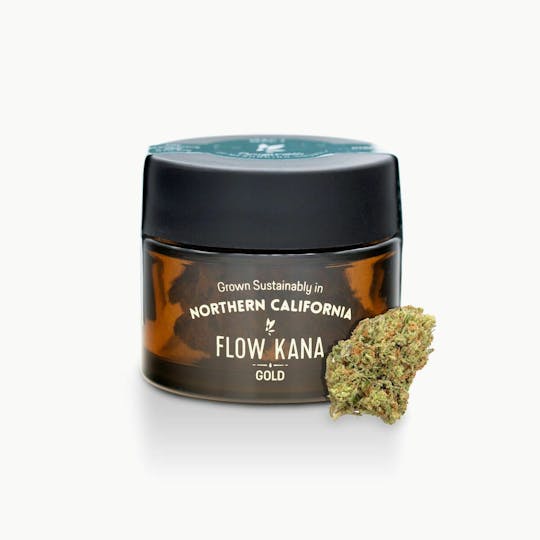 Flow Kana - Superglue by Stocker & Stocker | Gold - 1