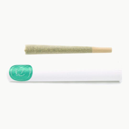 Curaleaf - Curaleaf 1g Pre-Roll Merry Jane - Hybrid - 1