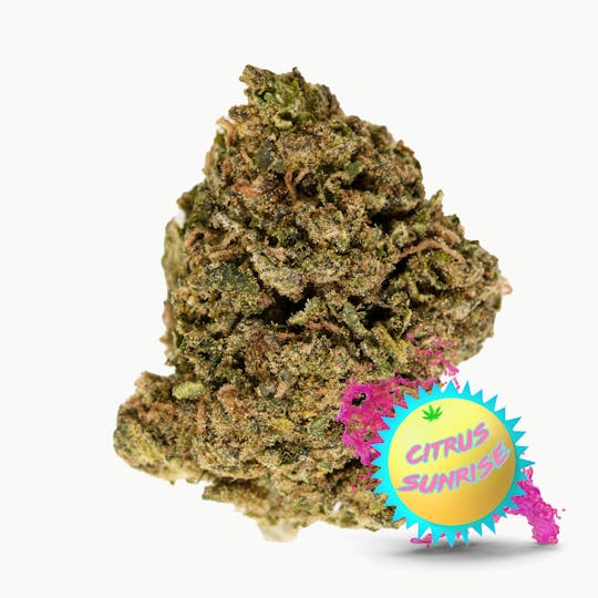 Vacation Cannabis - Citrus Sunrise (3.5g, 7g, 14g) - 1
