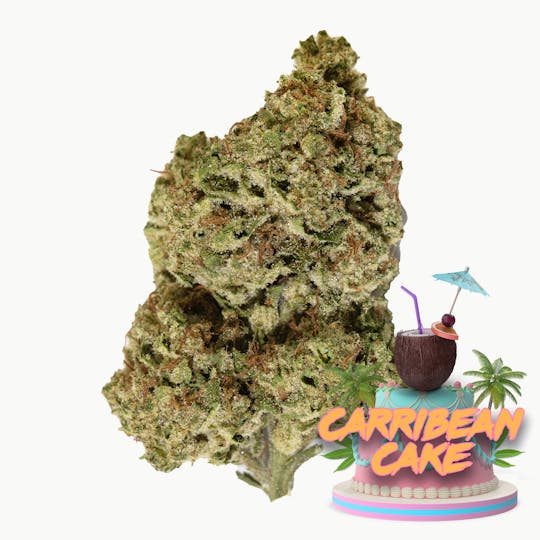 Vacation Cannabis - Caribbean Cake (3.5g, 7g, 14g) - 1