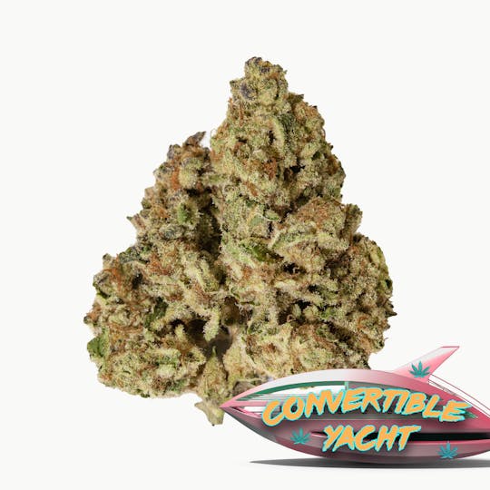Vacation Cannabis - Convertible Yacht (3.5g, 7g, 14g) - 1