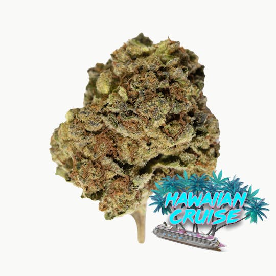 Vacation Cannabis - Hawaiian Cruise (3.5g, 7g, 14g) - 1